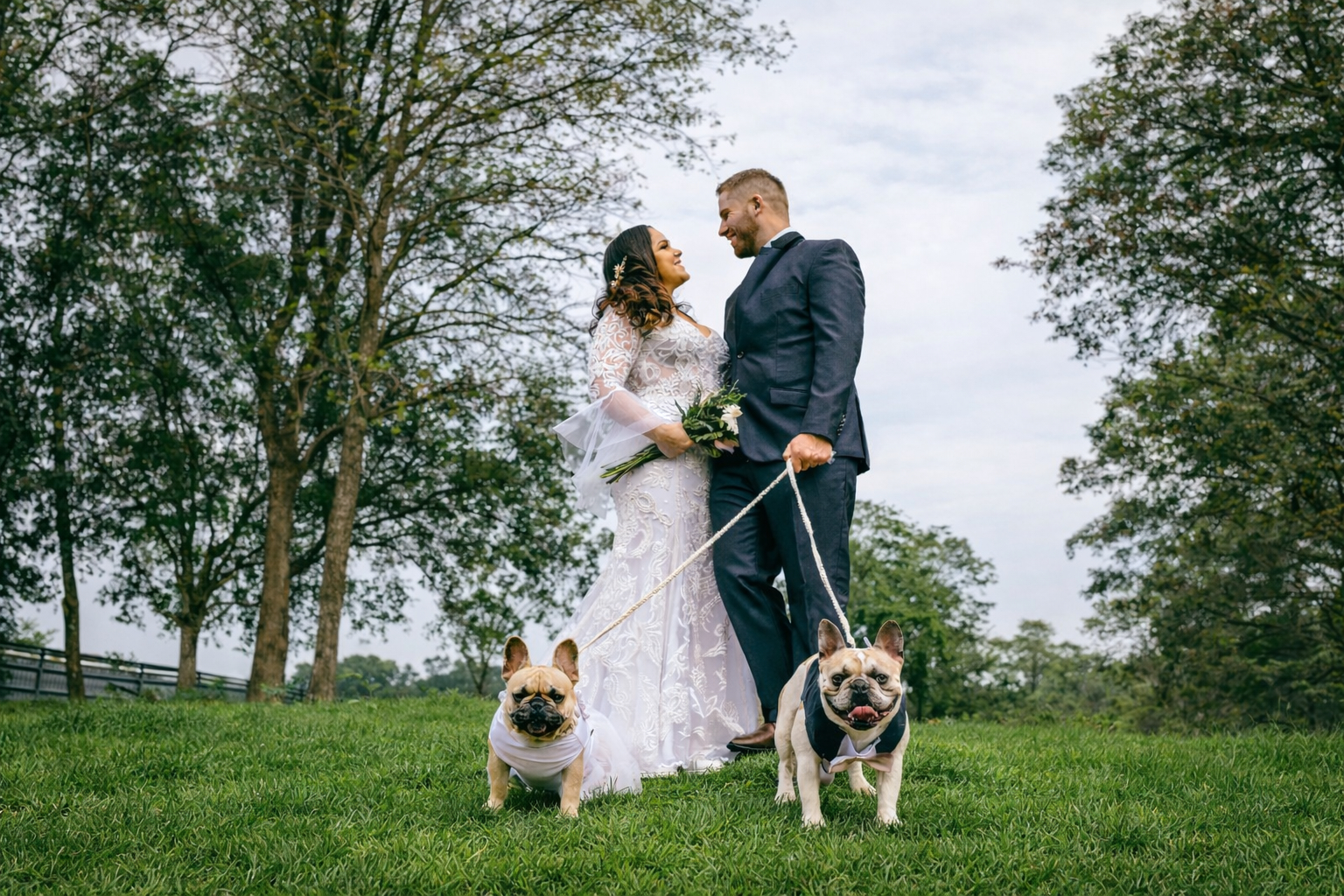 Casal com cães num casamento